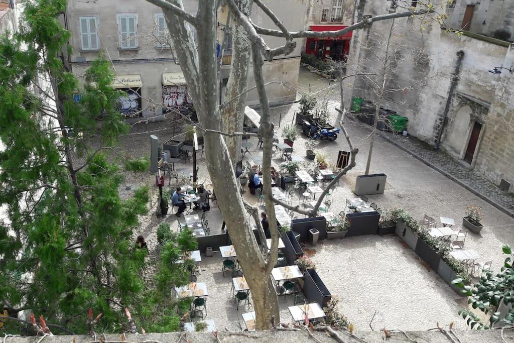 Apartmán Renove, Vue Sur Palais Des Papes, Terrasse Et Wifi Troisieme Etage Avignon Exteriér fotografie